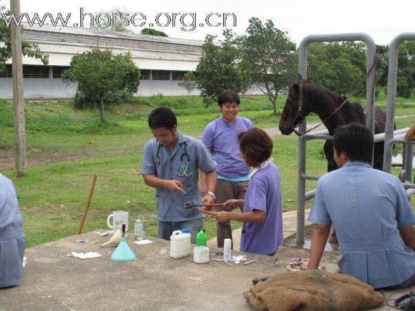 泰國的獸醫學生在軍營內過了一整天