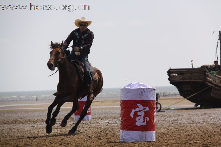 沸腾的海滩——9.5青岛沙滩马术赛