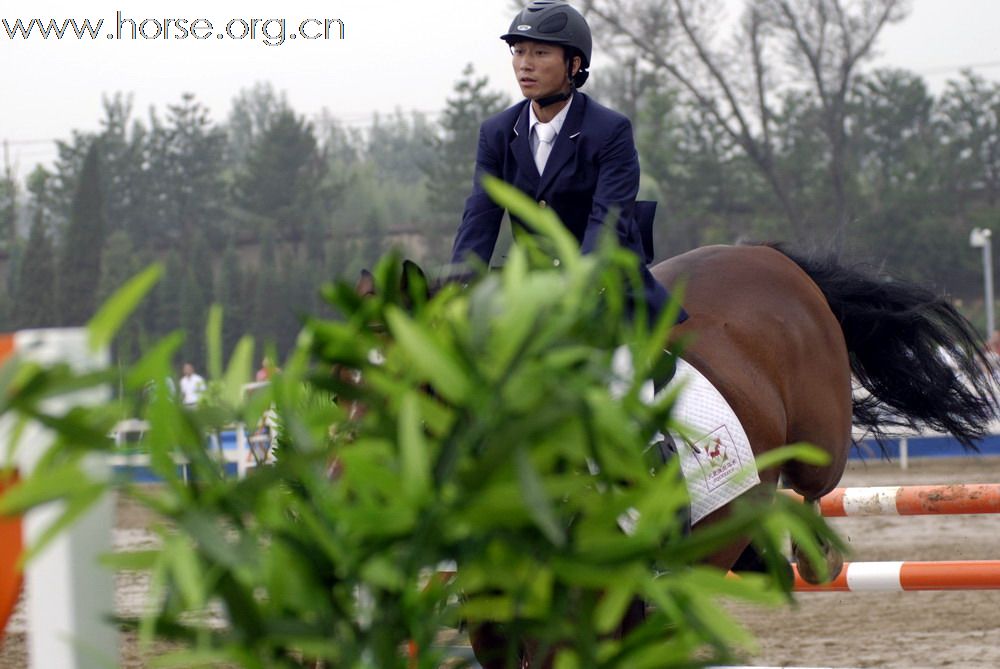 2009年全国马术（场地障碍）锦标赛成功召开