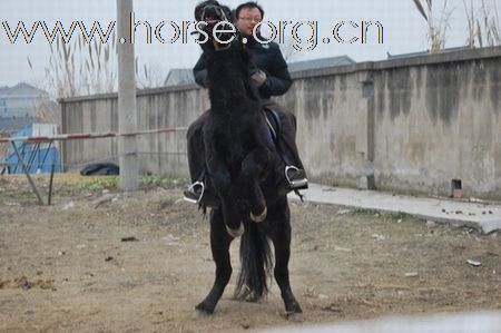 盐城马友给大家问好