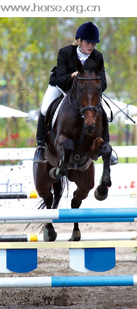 晓光手记:2010成都现代五项世界锦标赛(四)莺凤和鸣