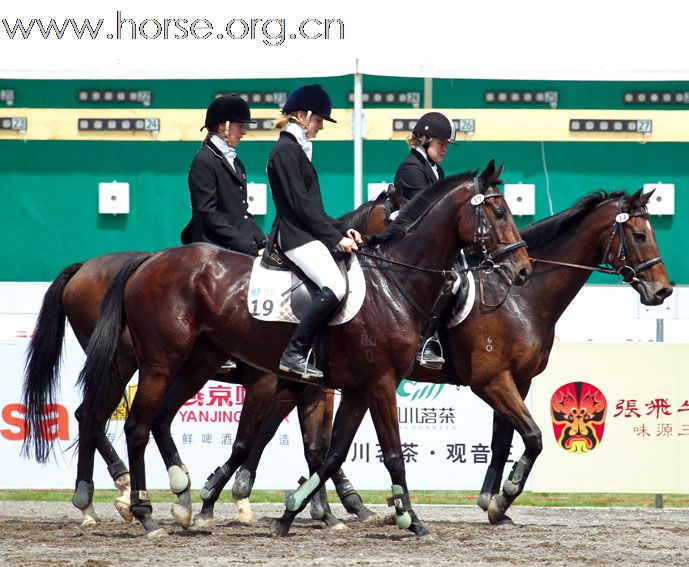 晓光手记:2010成都现代五项世界锦标赛(四)莺凤和鸣