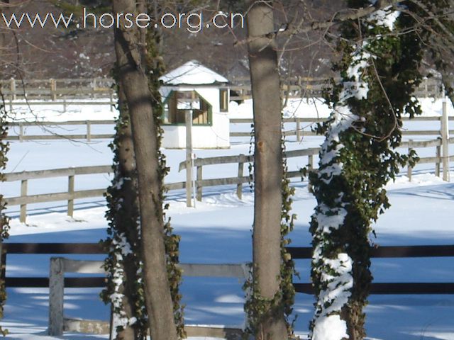 下雪，下雪，