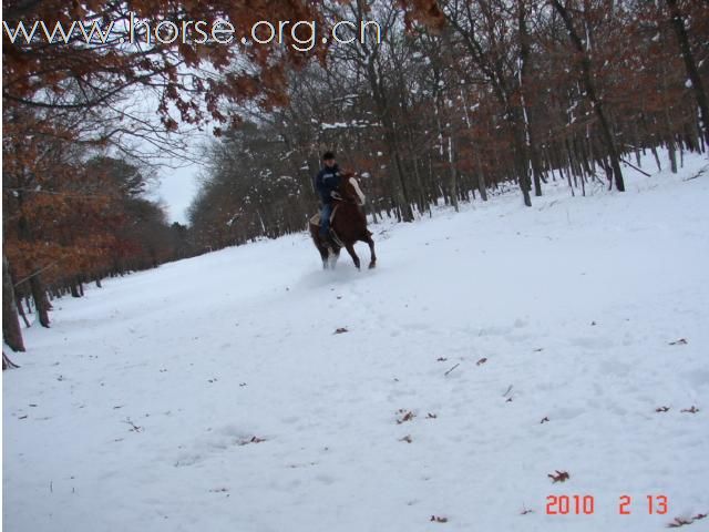 下雪，下雪，