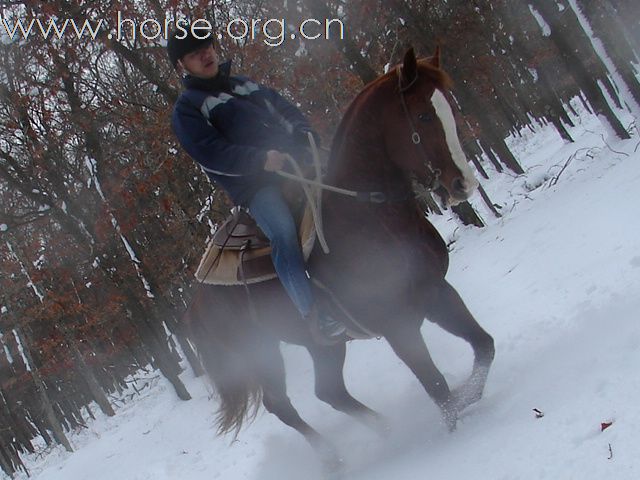 下雪，下雪，