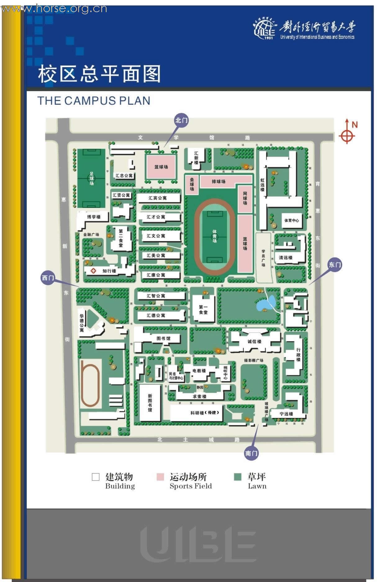 外经贸大学：马术普及讲座，欢迎初学者参加