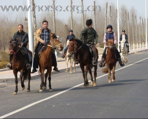 2010.3.14又野骑了