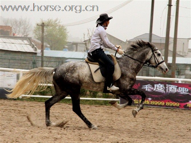 2010凯易路马术公开赛