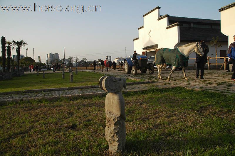 上海2010迎世博南北马术邀请赛赛场风云