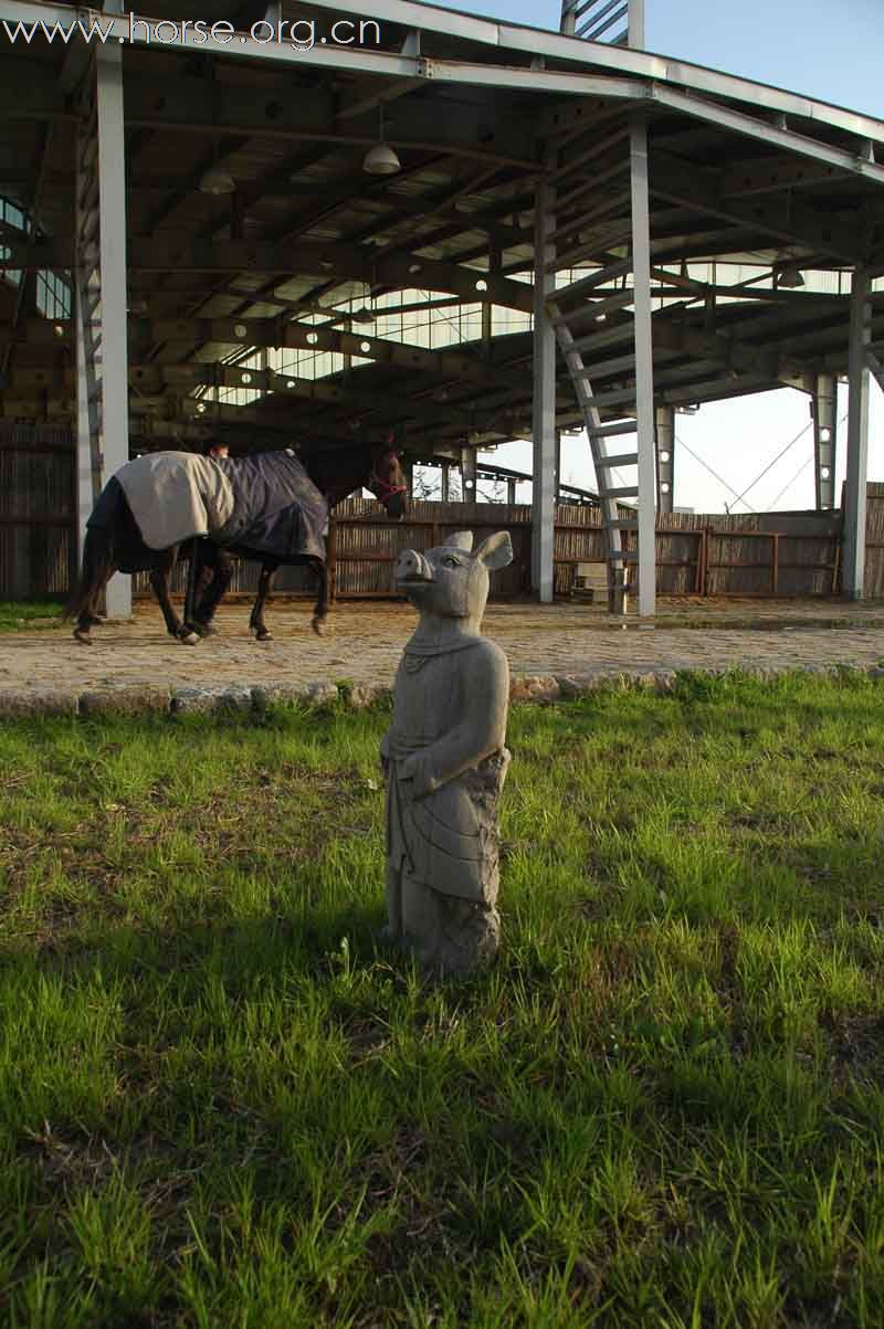 上海2010迎世博南北马术邀请赛赛场风云