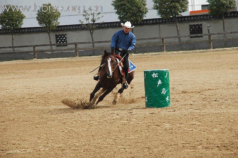 上海2010迎世博南北马术邀请赛赛场风云