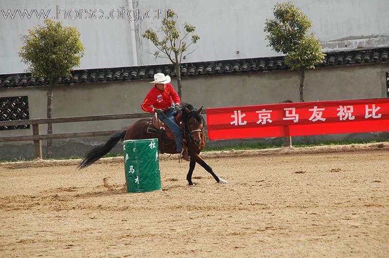 上海2010迎世博南北马术邀请赛赛场风云