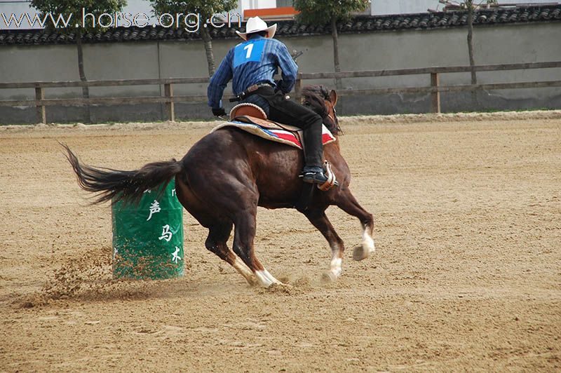 上海2010迎世博南北马术邀请赛赛场风云