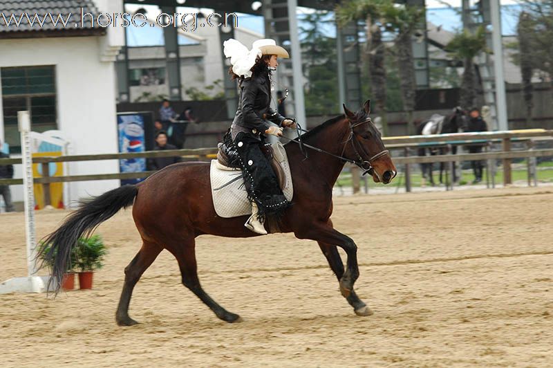 上海2010迎世博南北马术邀请赛赛场风云