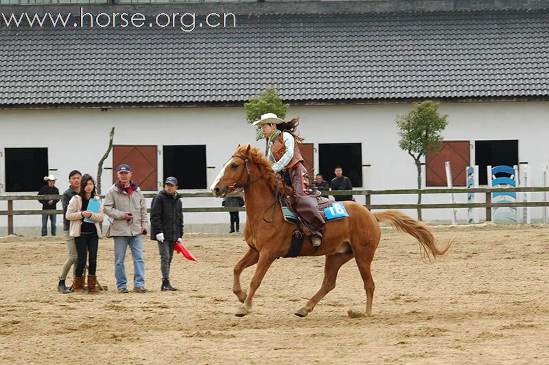 上海2010迎世博南北马术邀请赛赛场风云