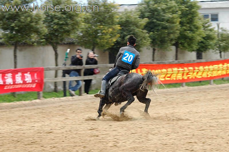 上海2010迎世博南北马术邀请赛赛场风云