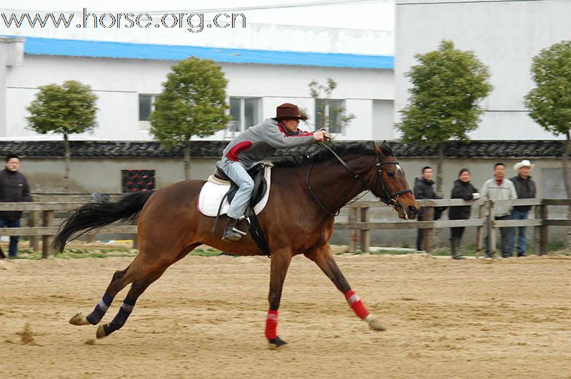 上海2010迎世博南北马术邀请赛赛场风云