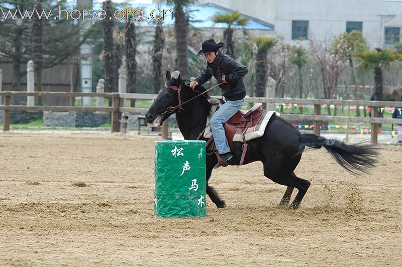 上海2010迎世博南北马术邀请赛赛场风云