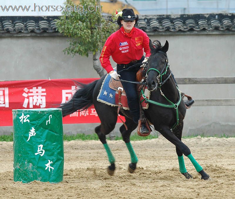 上海2010迎世博南北马术邀请赛赛场风云