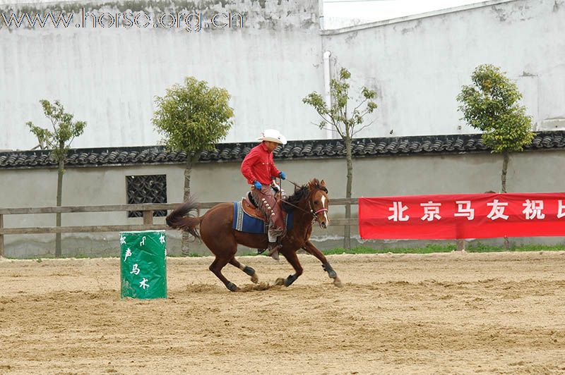 上海2010迎世博南北马术邀请赛赛场风云