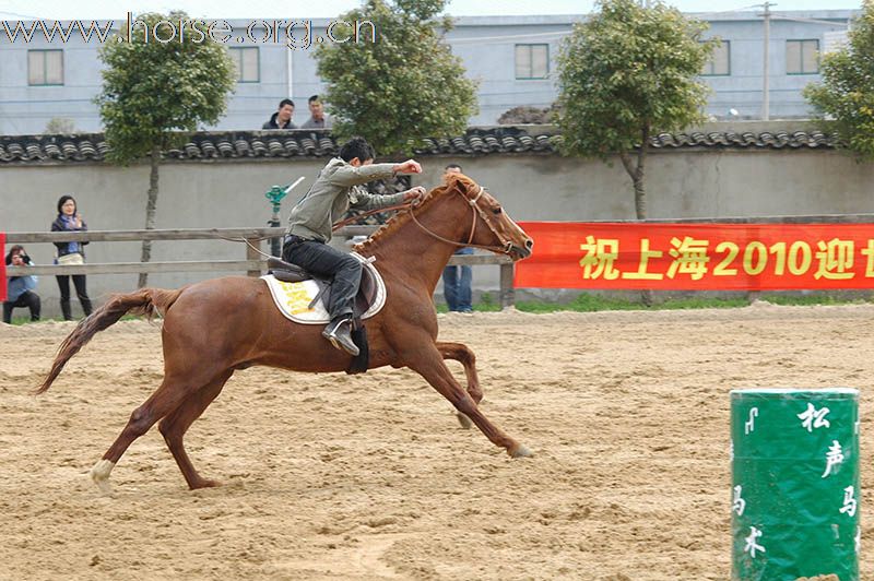 上海2010迎世博南北马术邀请赛赛场风云