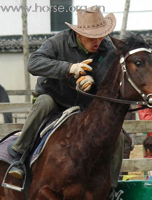 2010上海马友联盟南北马术对抗赛火爆举行——群雄篇