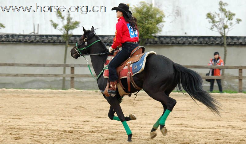 2010上海马友联盟南北马术对抗赛火爆举行——巾帼篇