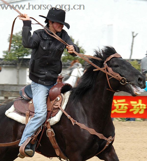 2010上海马友联盟南北马术对抗赛火爆举行——群雄篇