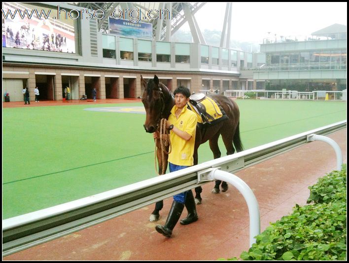 香港赛马会及赛马博物馆随拍