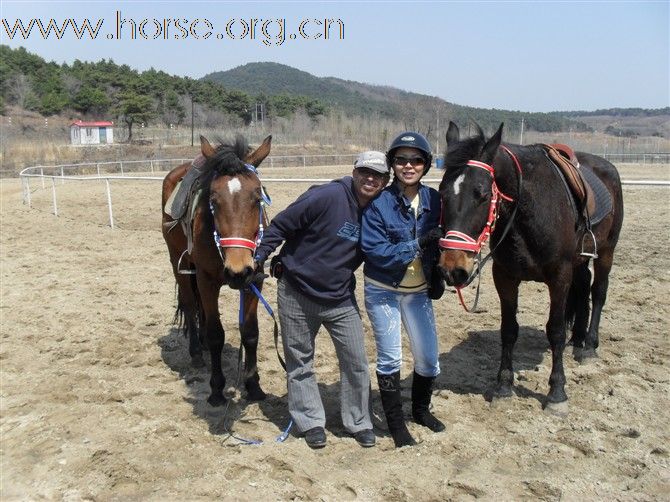 4月24号活动辽宁宇田骑士会-马术