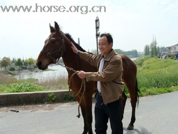 太仓马友会--长江边野骑活动