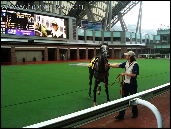 香港赛马会及赛马博物馆随拍