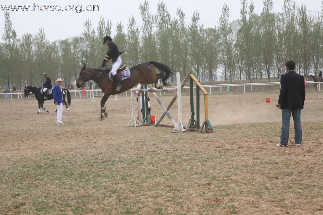 完全可以用国产马练习场地马术的基础---成本会很低的了