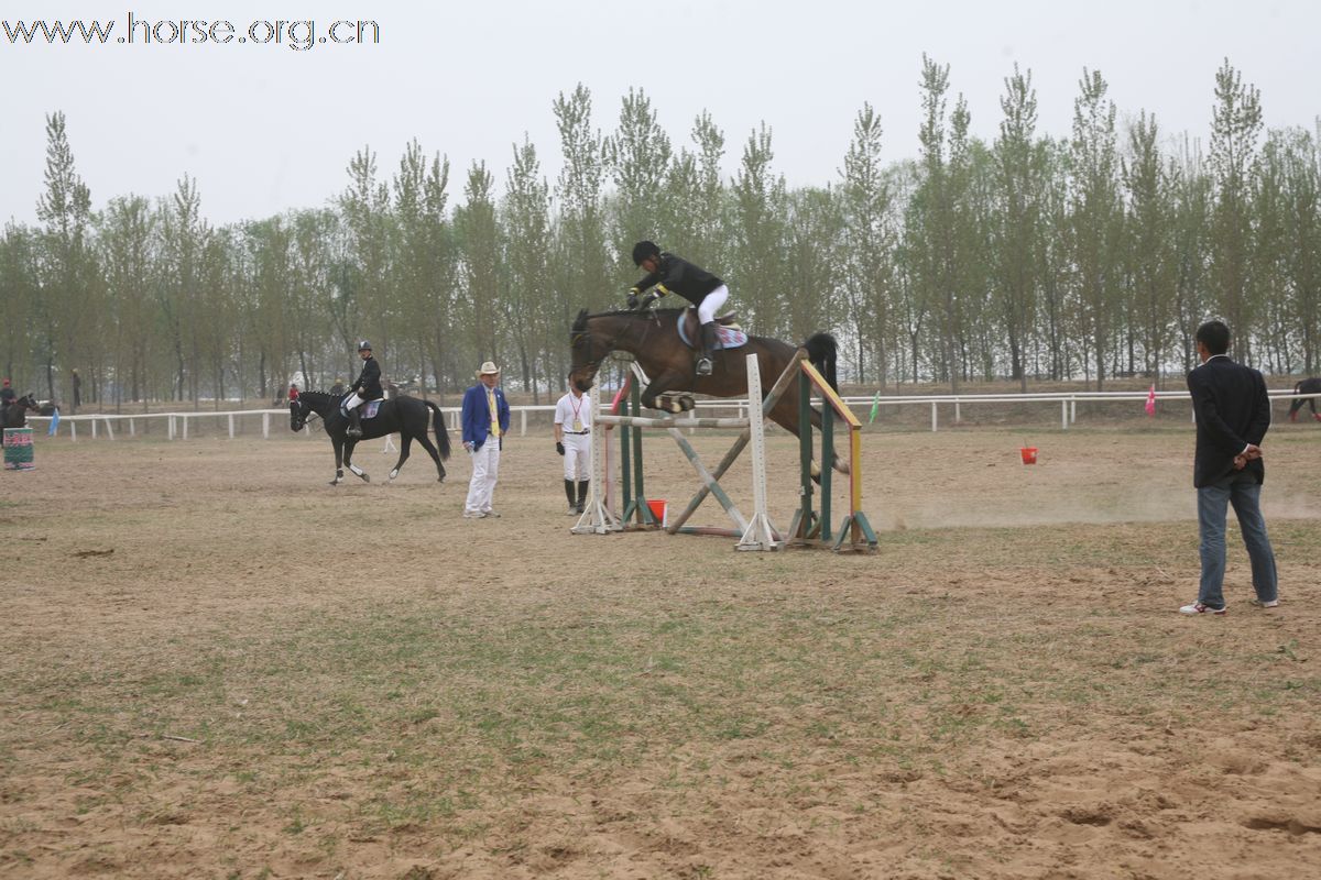 完全可以用国产马练习场地马术的基础---成本会很低的了