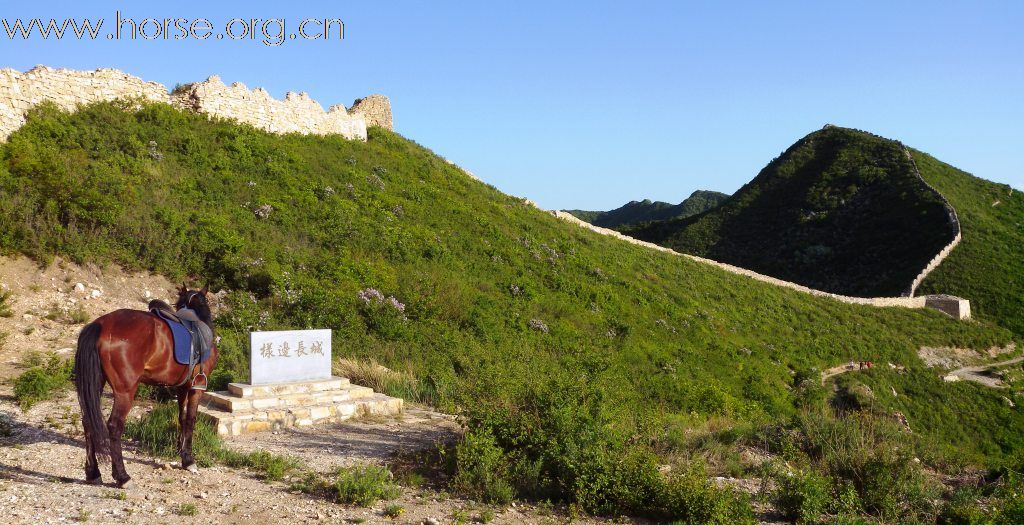 跃马明长城，金樽对明月