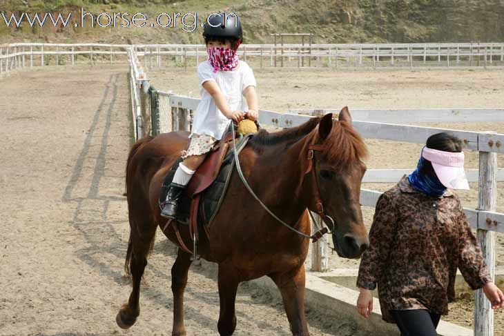 神勇无敌小骑士和她的爷爷