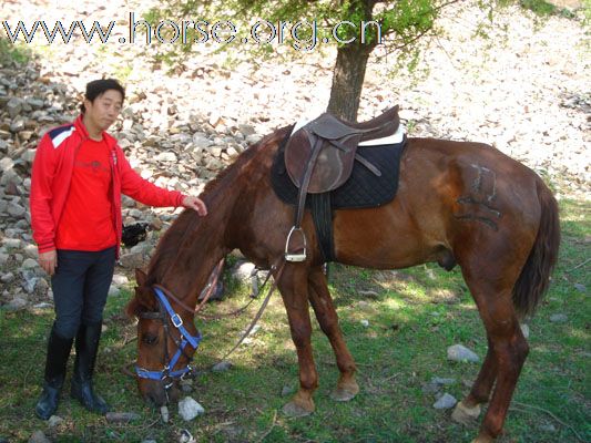 骑马伴长城人文地质游