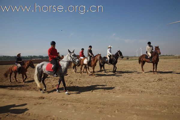 野树林俱乐部骑马伴长城人文地质游总结图片2