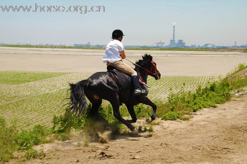 长江骑马节暨“贵豪杯”全国马术越野赛-弯道厮杀