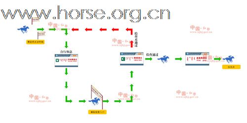 第二届中国巴音布鲁克环天鹅湖国际马术耐力赛开始报名