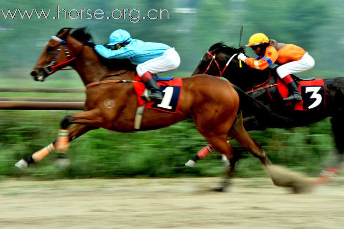 2010.06.26顺义赛马速度赛马场内场外