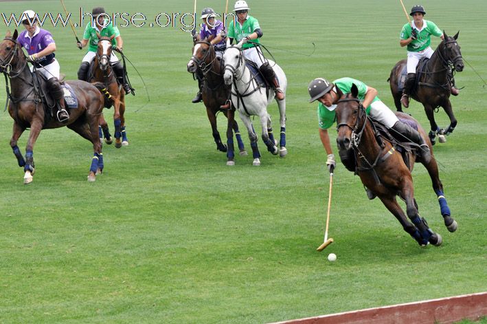 2010上海慈善马术嘉年华暨大使杯国际马球赛圆满举办