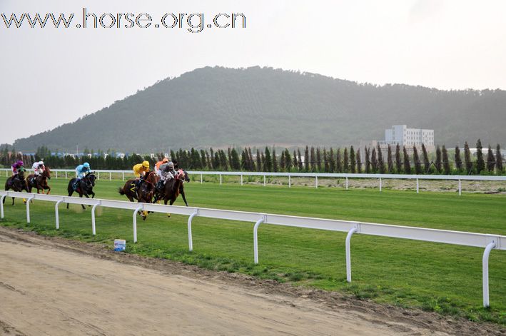 2010上海慈善马术嘉年华暨大使杯国际马球赛圆满举办