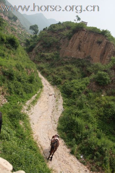 跃马长城人文地质游2010年第二期---风云再起