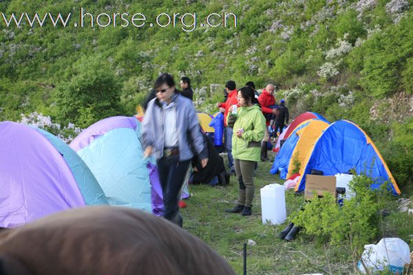 野树林俱乐部骑马伴长城人文地质游总结图片3