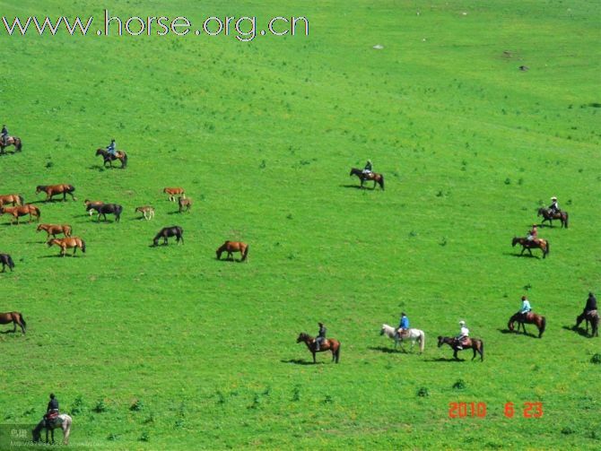 美丽与爱同行----2010重庆爱马仕骑行新彊（35楼更新）