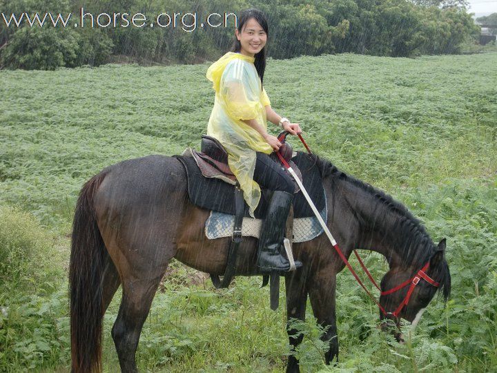 香港美女悠客，在台灣悠客馬場騎馬