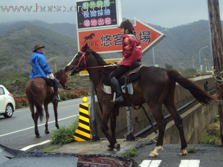 香港美女悠客，在台灣悠客馬場騎馬