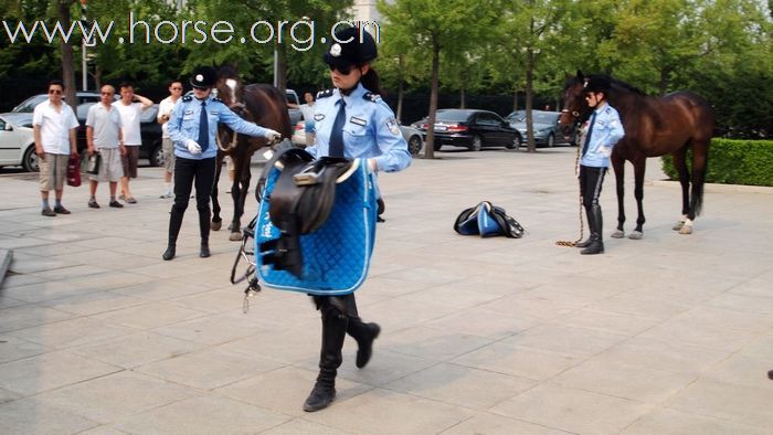 【组图】实拍大连骑警，警用运马车现身