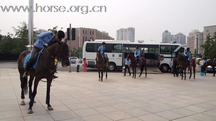 【组图】实拍大连骑警，警用运马车现身